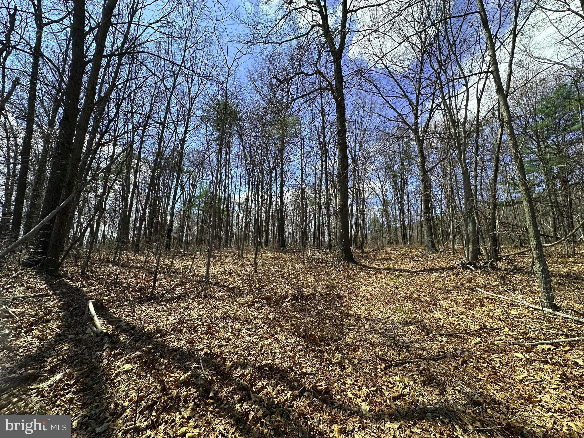 Discover the perfect blend of seclusion, natural beauty, and endless outdoor adventure with this exceptional 24+ acre parcel, directly adjoining 1700+ acres of gorgeous State Game Lands. Whether you're looking to build a private getaway, set up a hunting cabin, or simply enjoy nature's bounty, this property delivers unmatched access to some of the best wildlife and recreational opportunities in the region. Don't miss your opportunity to own this awesome piece of ground with road frontage in Fulton County!