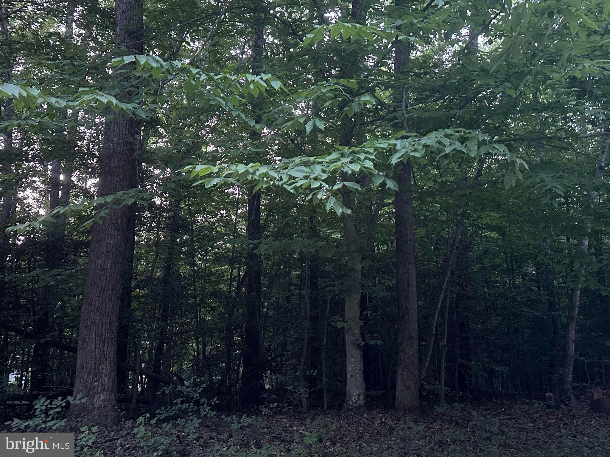 RAPPAHANNOCK RIDGE ESTATES - Land