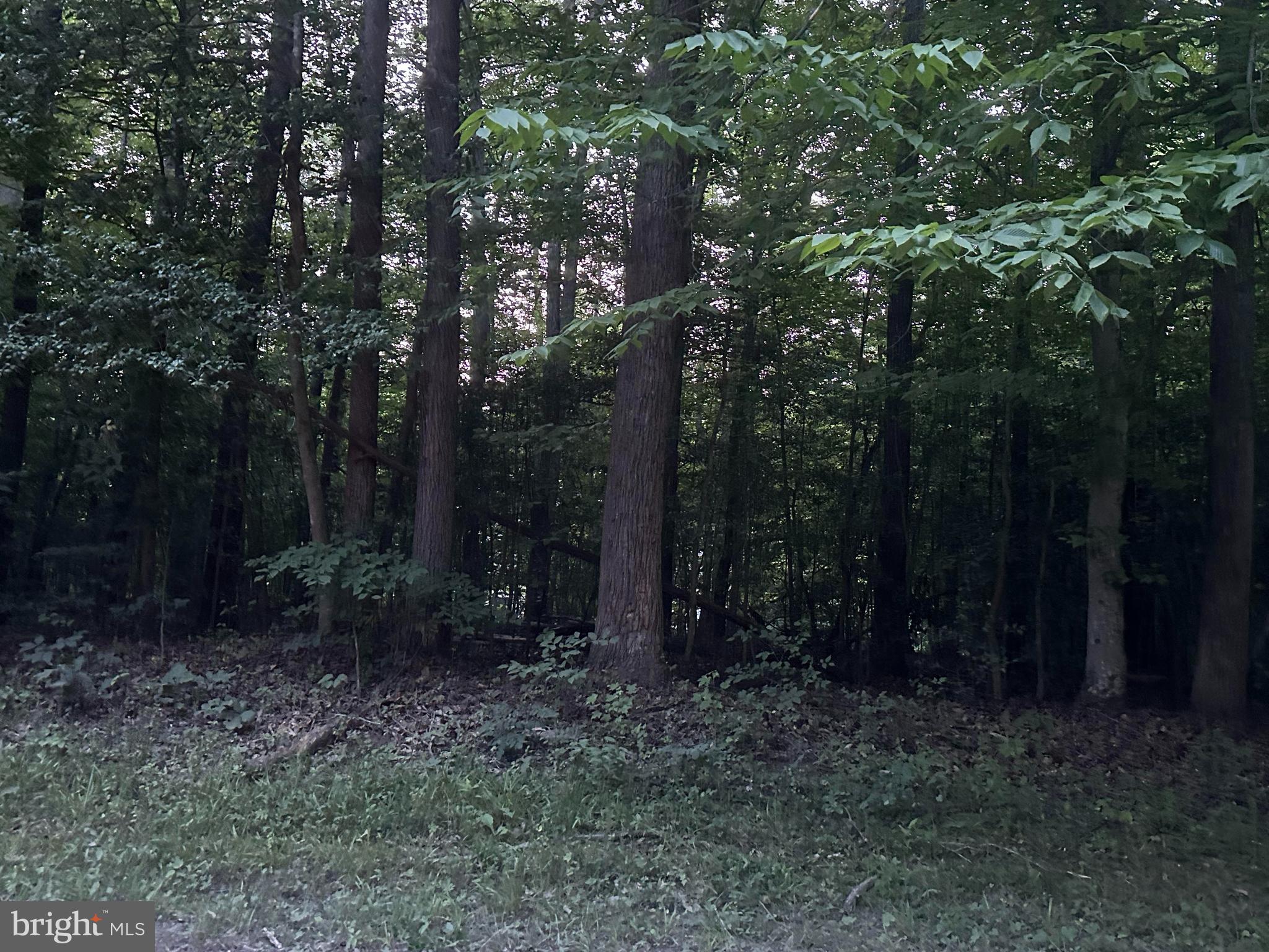 RAPPAHANNOCK RIDGE ESTATES - Land