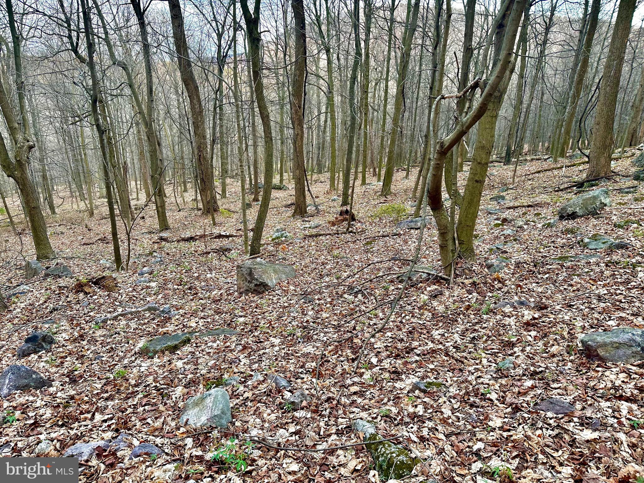 71 Acres BLAIRS VALLEY ROAD