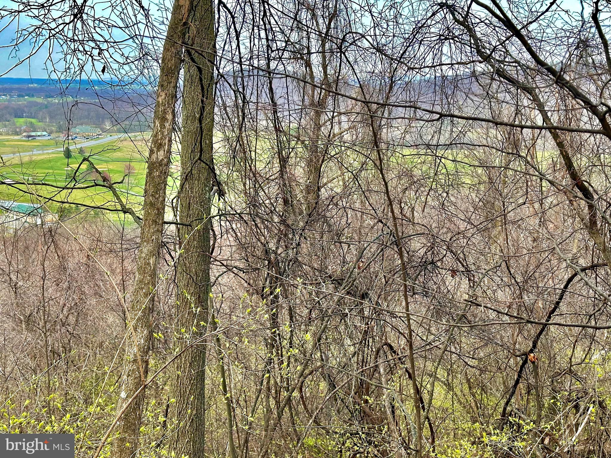 71 Acres BLAIRS VALLEY ROAD