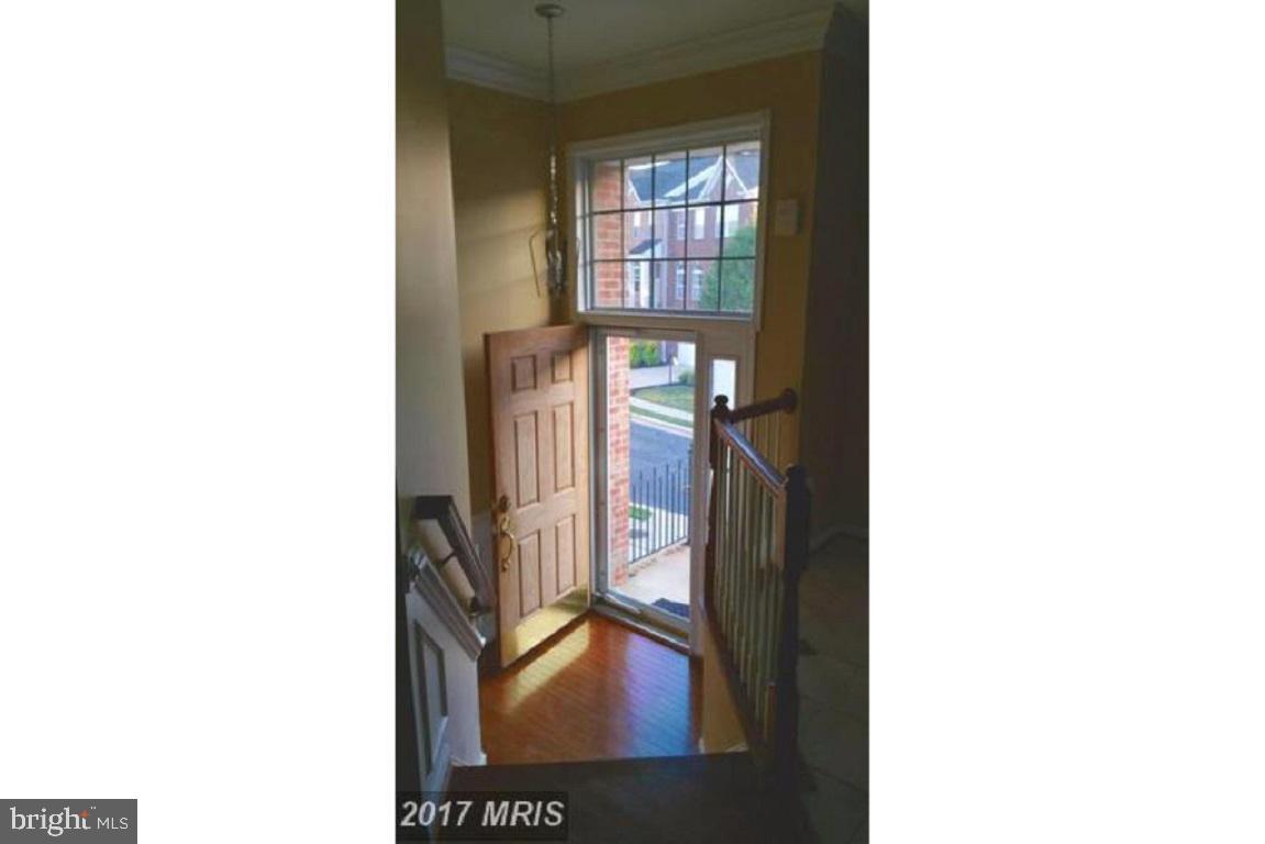 POTOMAC STATION - Residential Lease