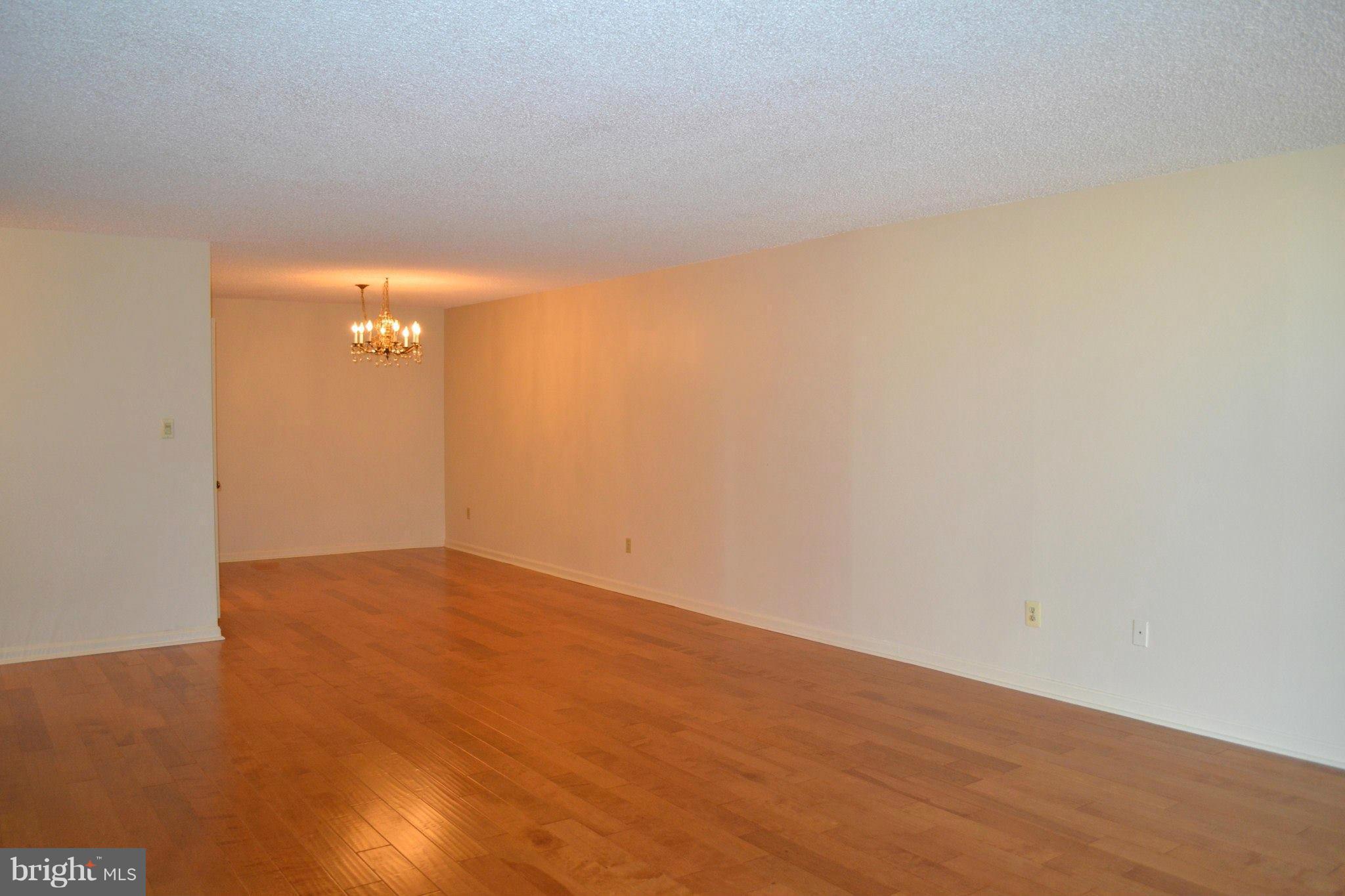 THE REPRESENTATIVE - Residential Lease