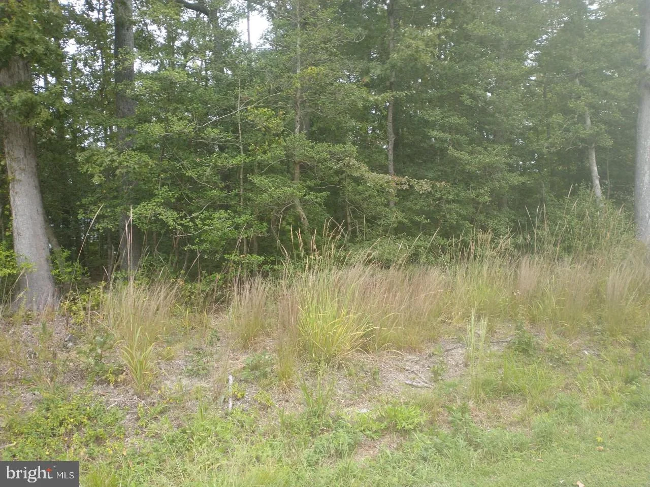 Ft. King Drive, Colonial Beach, VA 22443