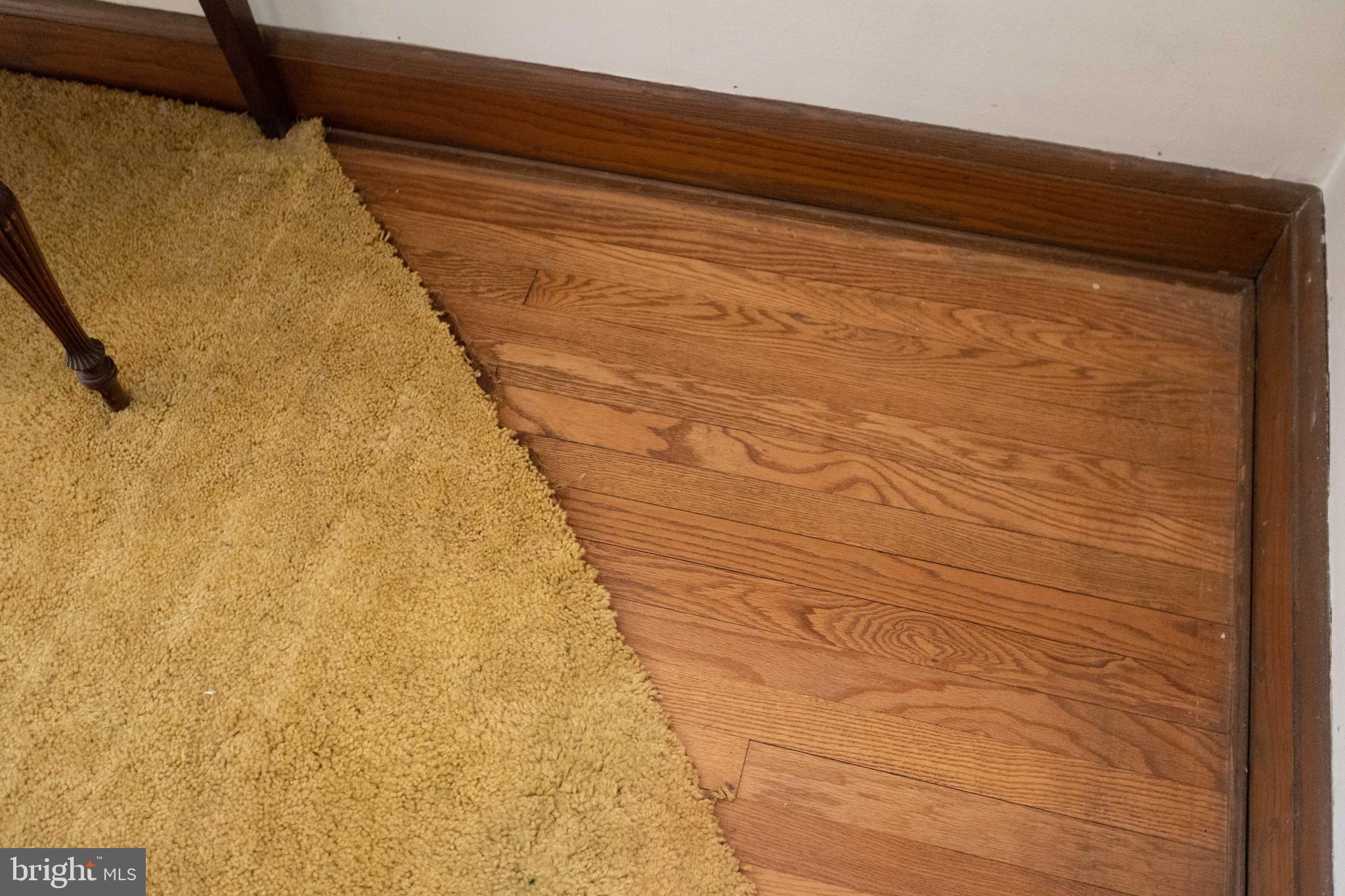 BELVEDERE SQUARE - Residential