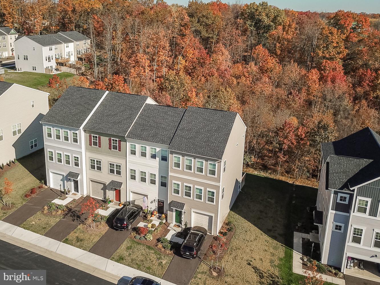 SNOWDEN BRIDGE - Residential Lease