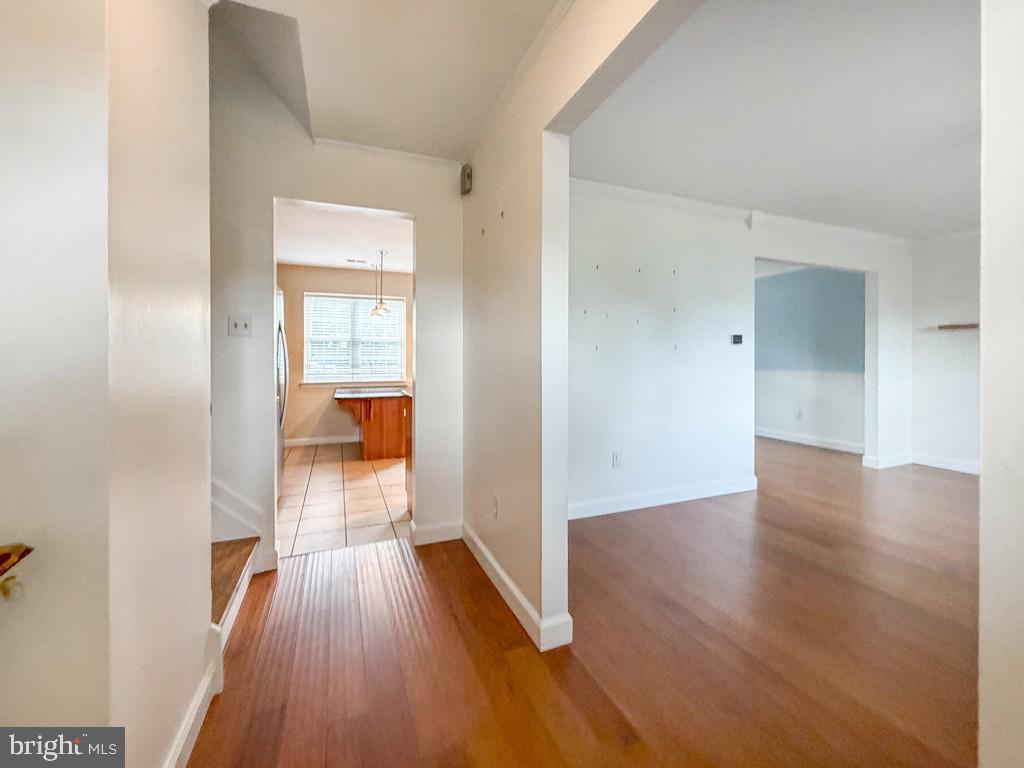 8 CARMEL PLACE