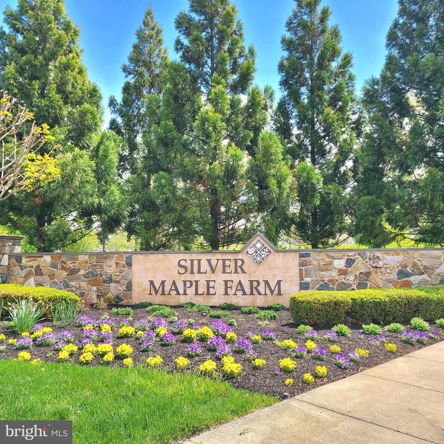 FOUR SEASONS AT SILVER MAPLE - Residential