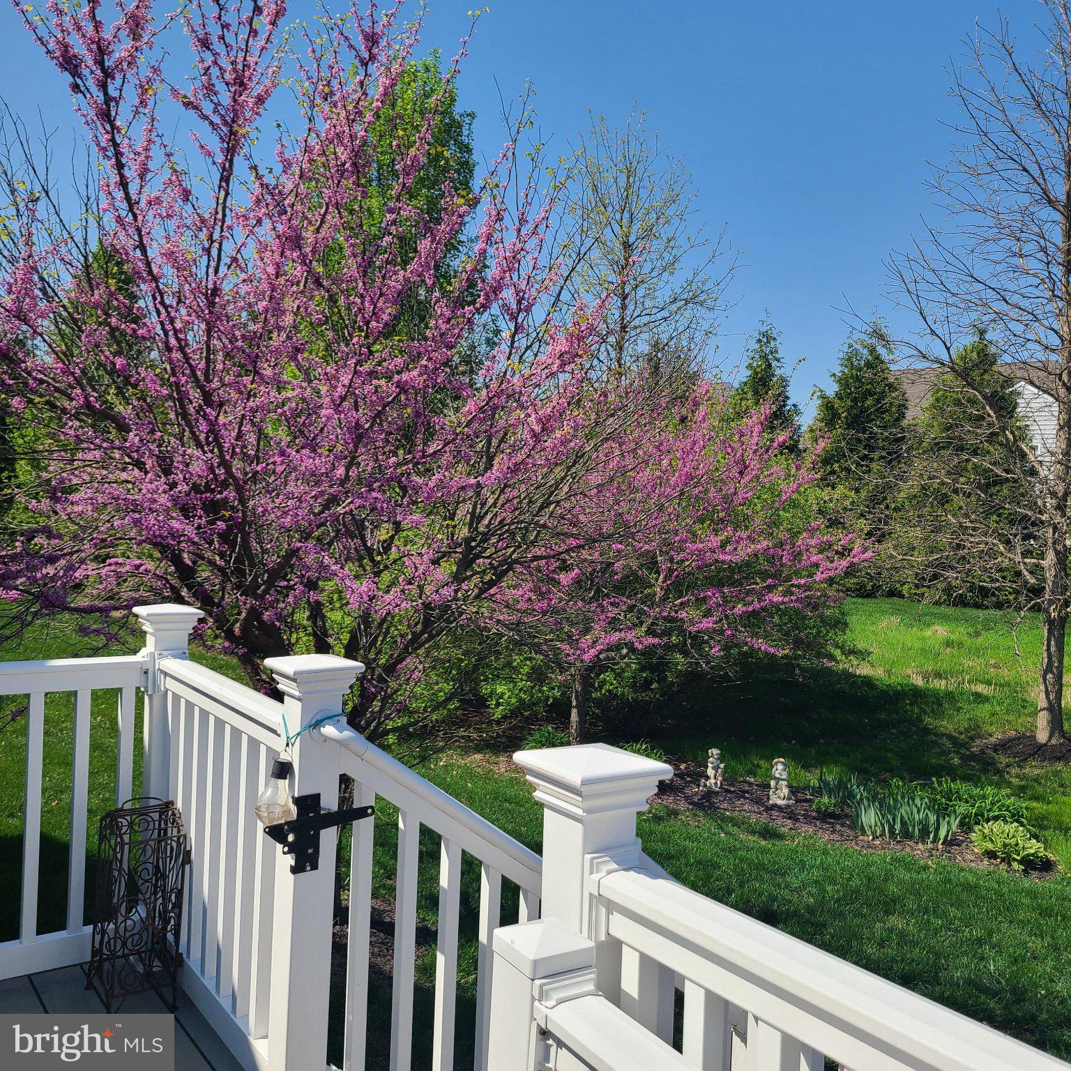 FOUR SEASONS AT SILVER MAPLE - Residential