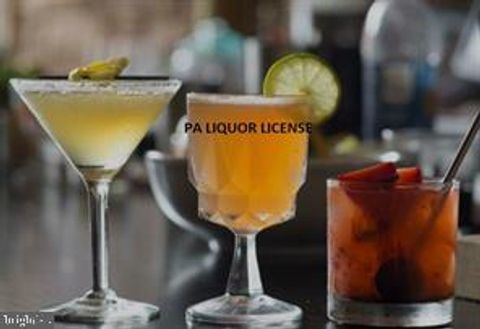 Photo of Restaurant Liquor Li Lancaster, LANCASTER, PA 17603 (MLS # PALA2061402)