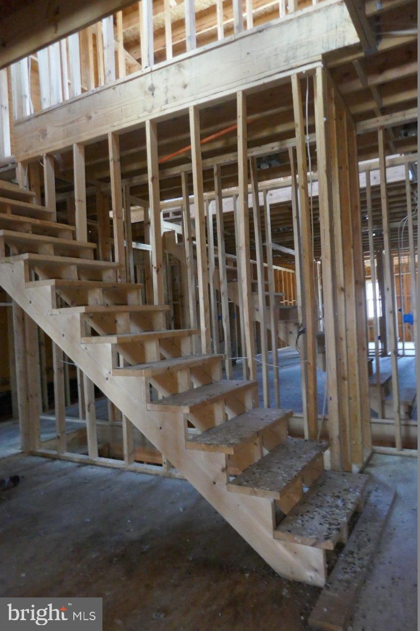 LITTLE ITALY - Residential