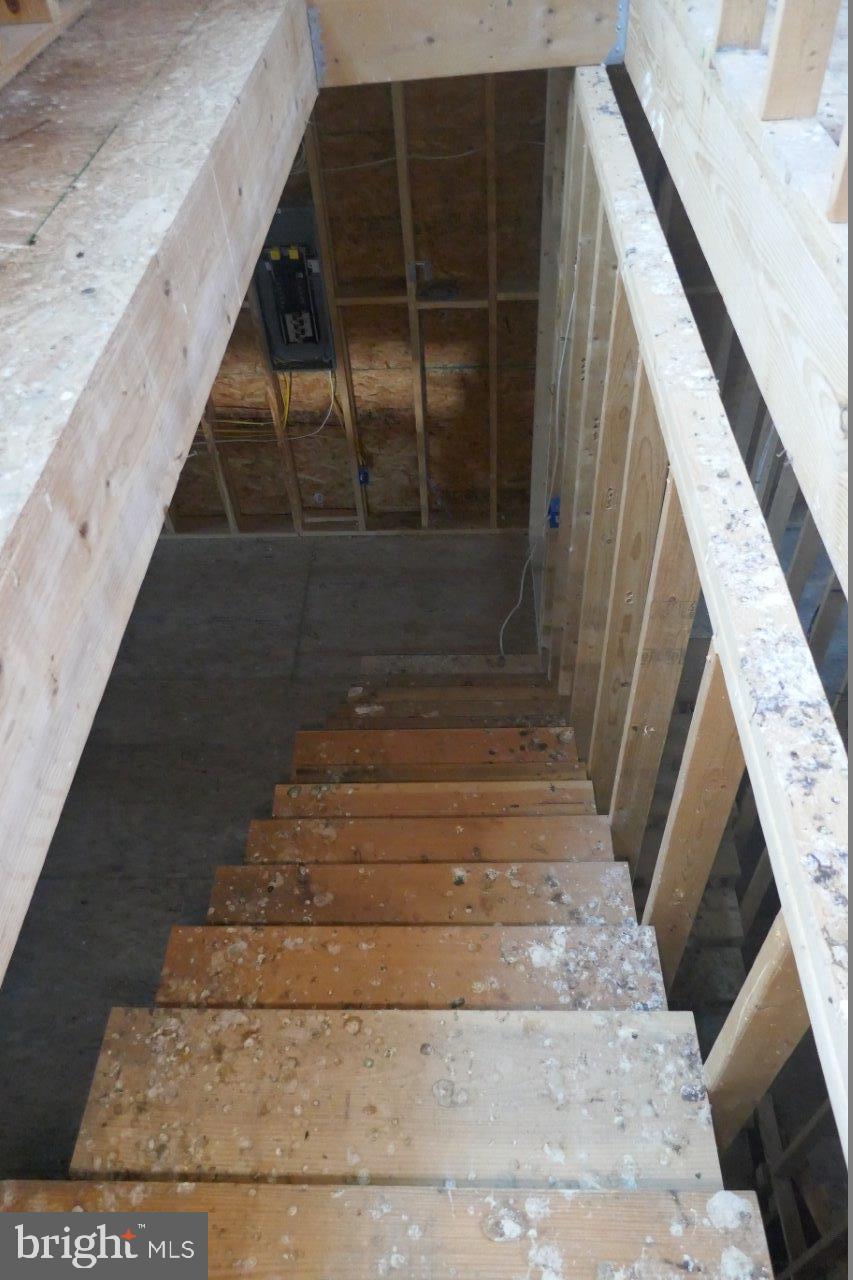 LITTLE ITALY - Residential