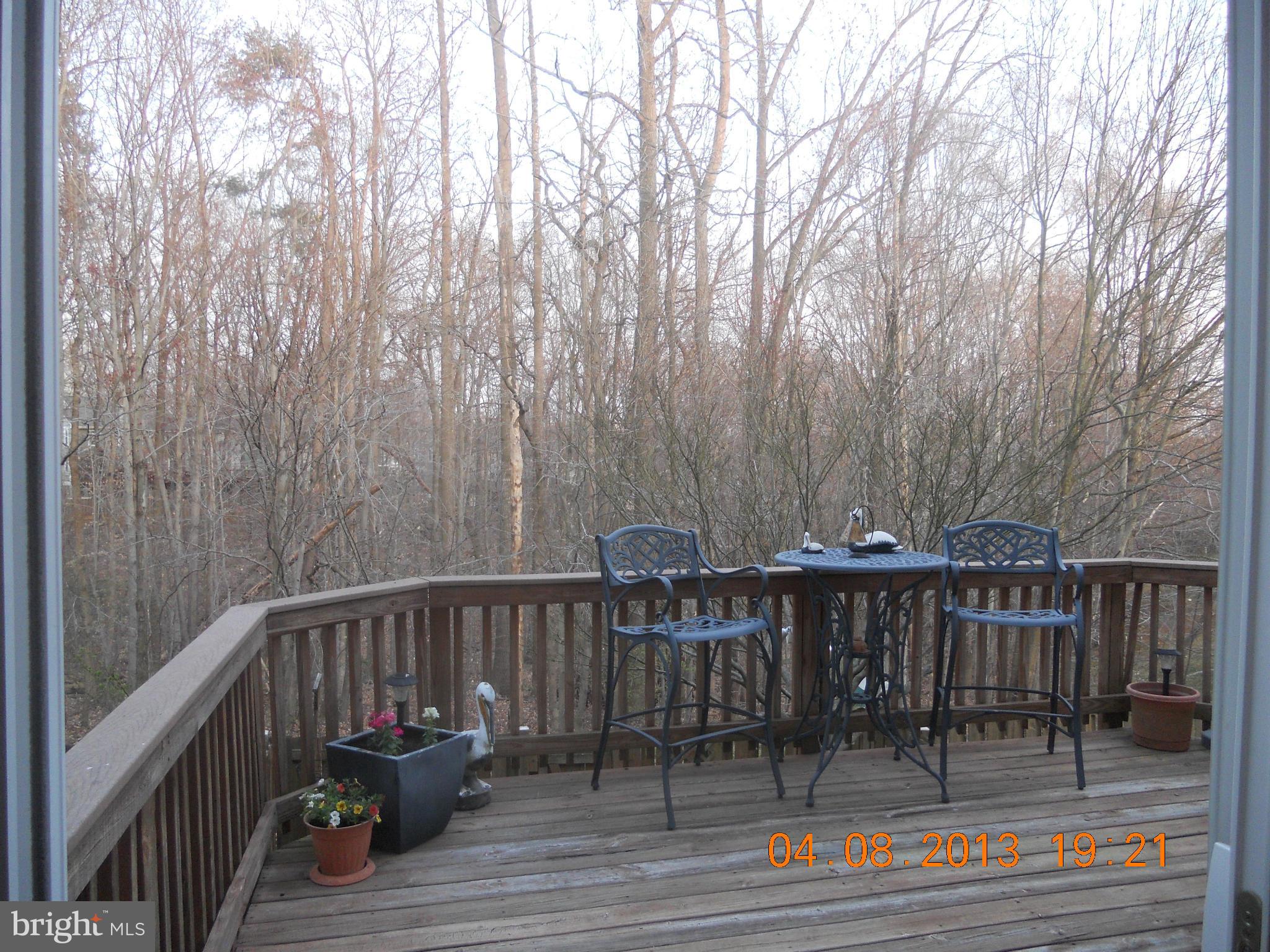 MONTCLAIR ST4 - Residential Lease