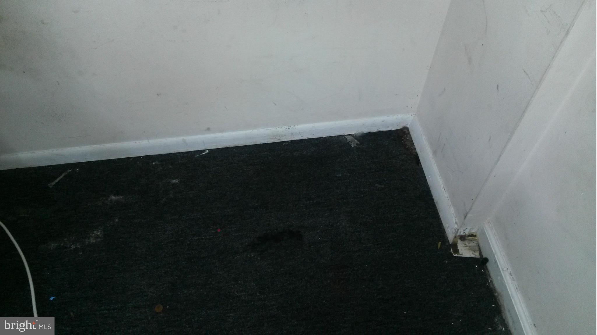 GOVANS - Residential