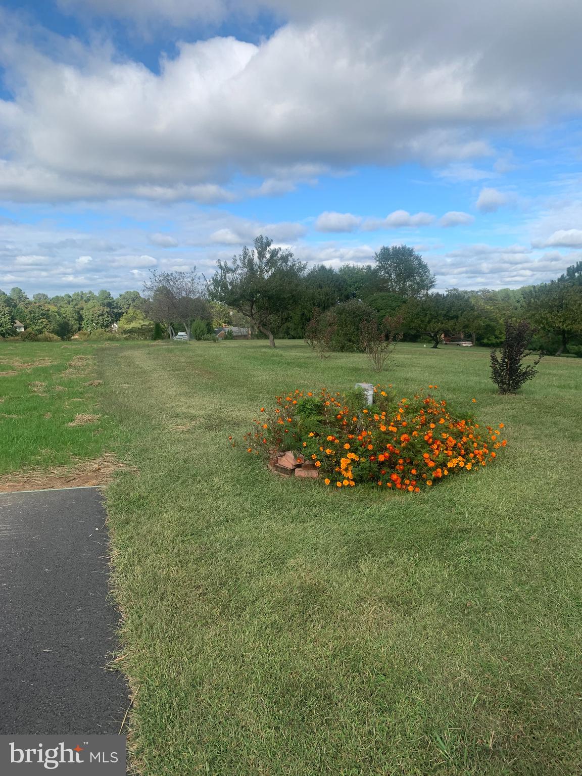 PORTOBAGO BAY - Land