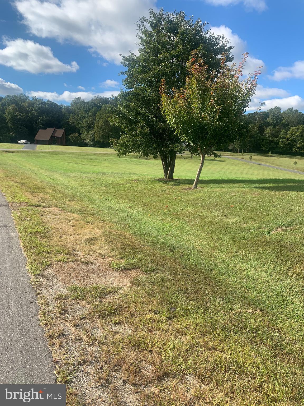 PORTOBAGO BAY - Land