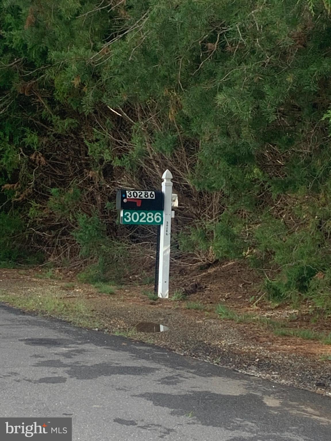 PORTOBAGO BAY - Land