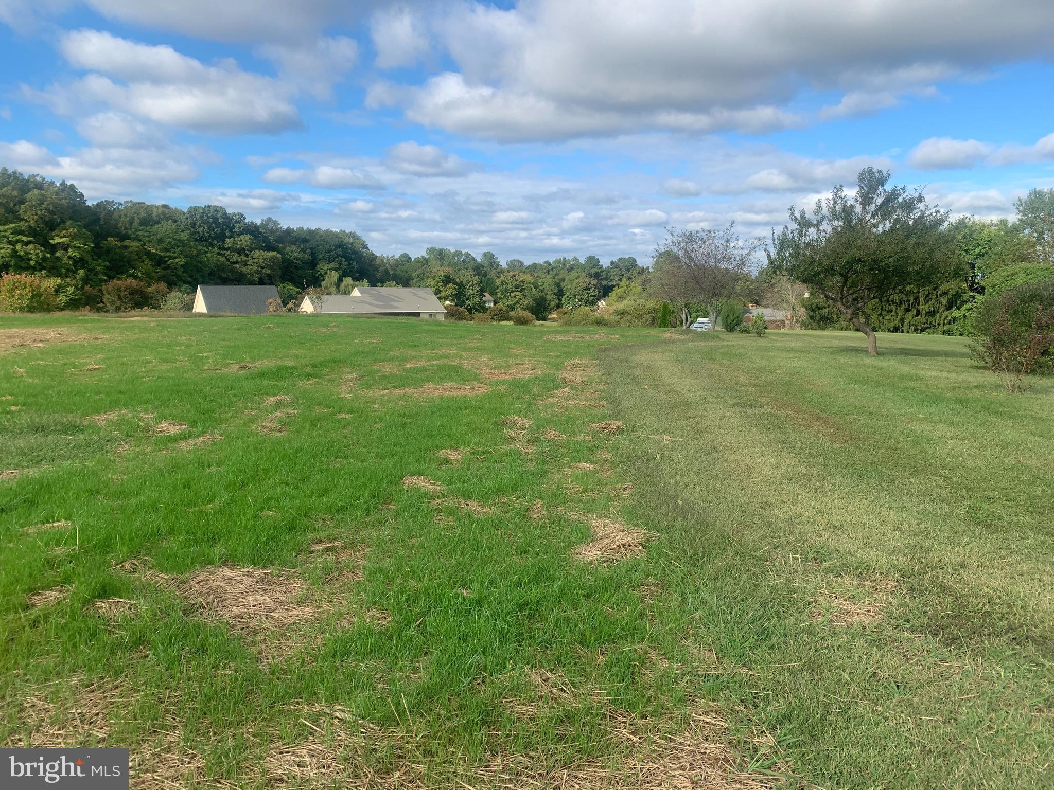 PORTOBAGO BAY - Land