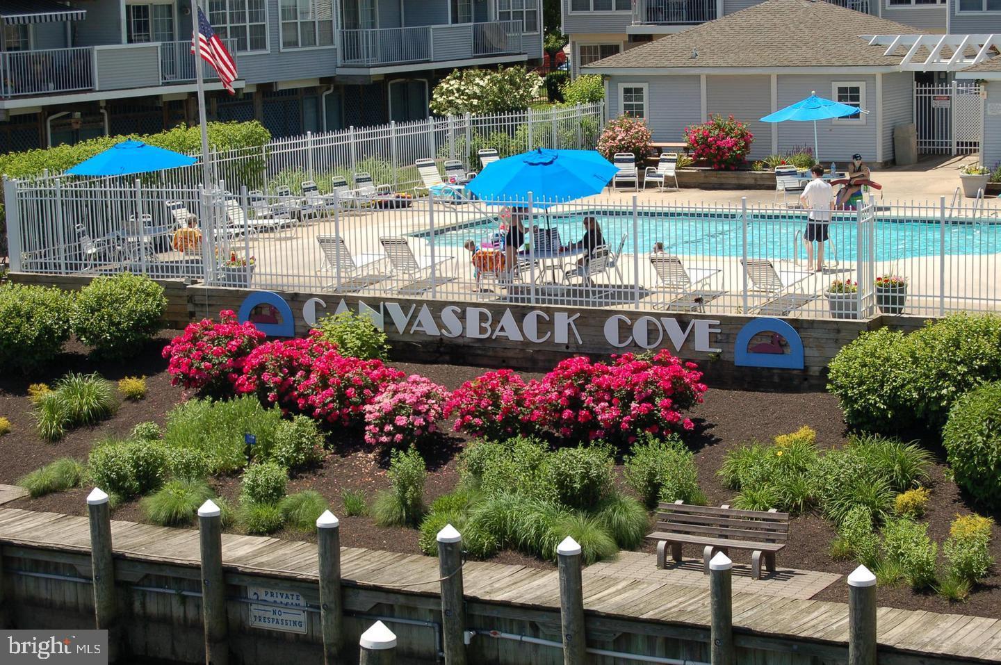 CANVASBACK COVE - Residential Lease