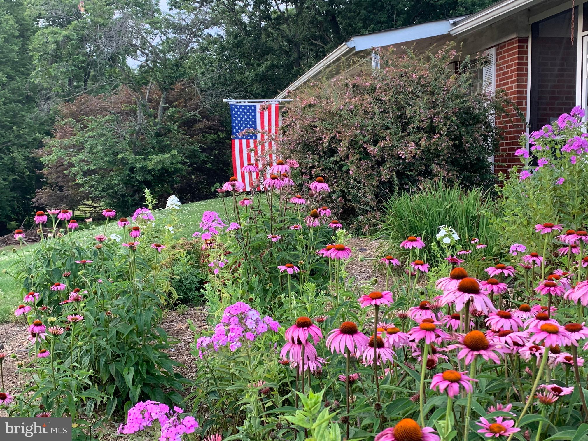 MIDDLETOWN - Residential