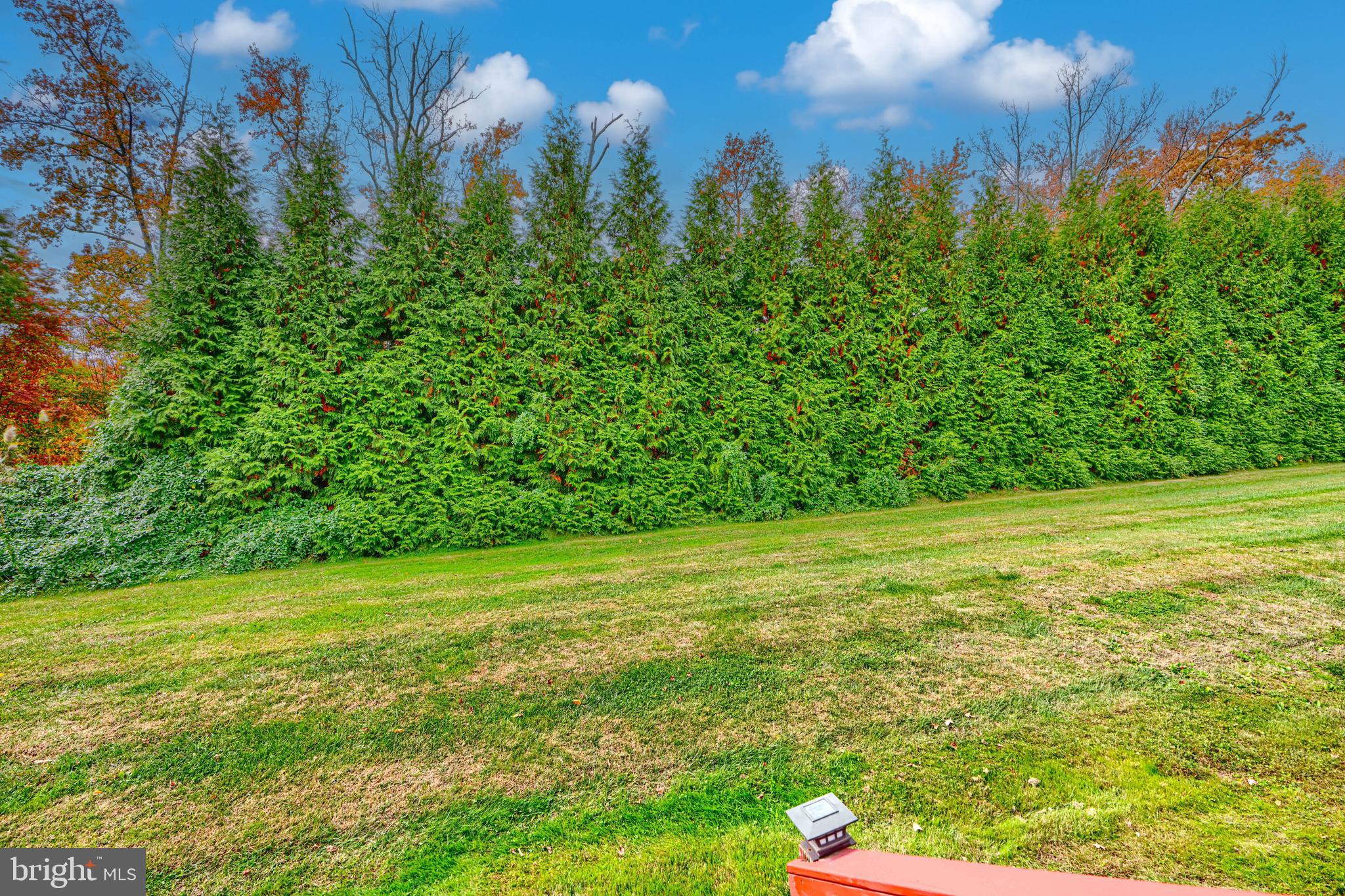 LOHR'S ORCHARD - Residential