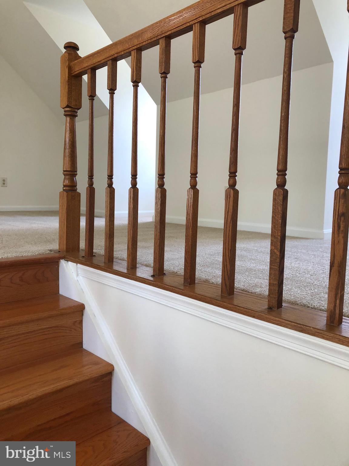 LAKE RIDGE - SPRINGWOODS - Residential