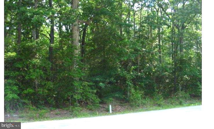 Don’t miss this rare opportunity to own 1.42 acres of land comprising Lots 1, 2, and 3 in the desirable Romancoke community. This parcel offers the potential for up to three separate building lots, with frontage on MD Route 8 and located just six blocks from the Chesapeake Bay.
Enjoy community amenities including a beach area and boat ramp, perfect for those seeking a waterfront lifestyle. Potential access to public sewer may be available in future; all permits, zoning, and feasibility studies are the responsibility of the buyer.
Whether you're looking to build your dream home or invest in a development project, this property offers endless possibilities.