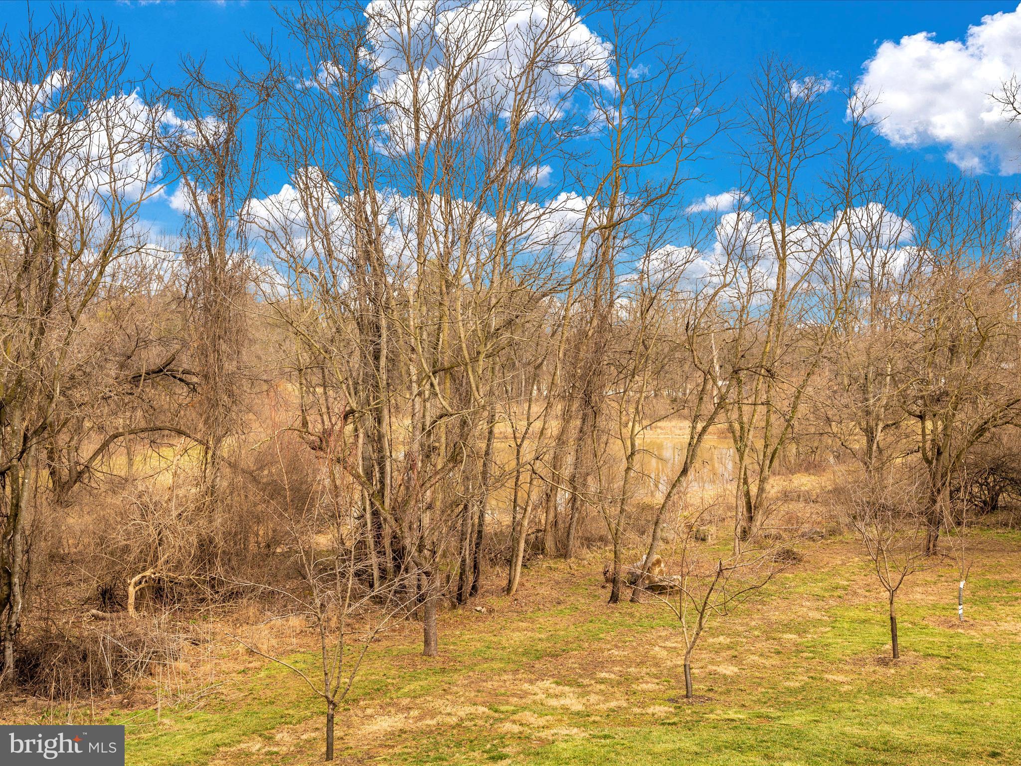 SHEPHERDSTOWNE ESTATES - Residential