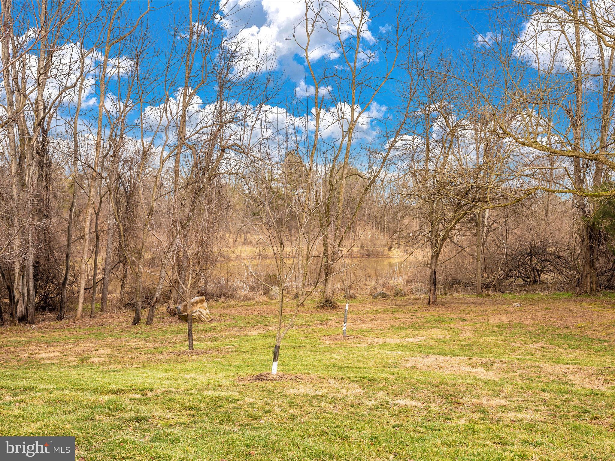 SHEPHERDSTOWNE ESTATES - Residential