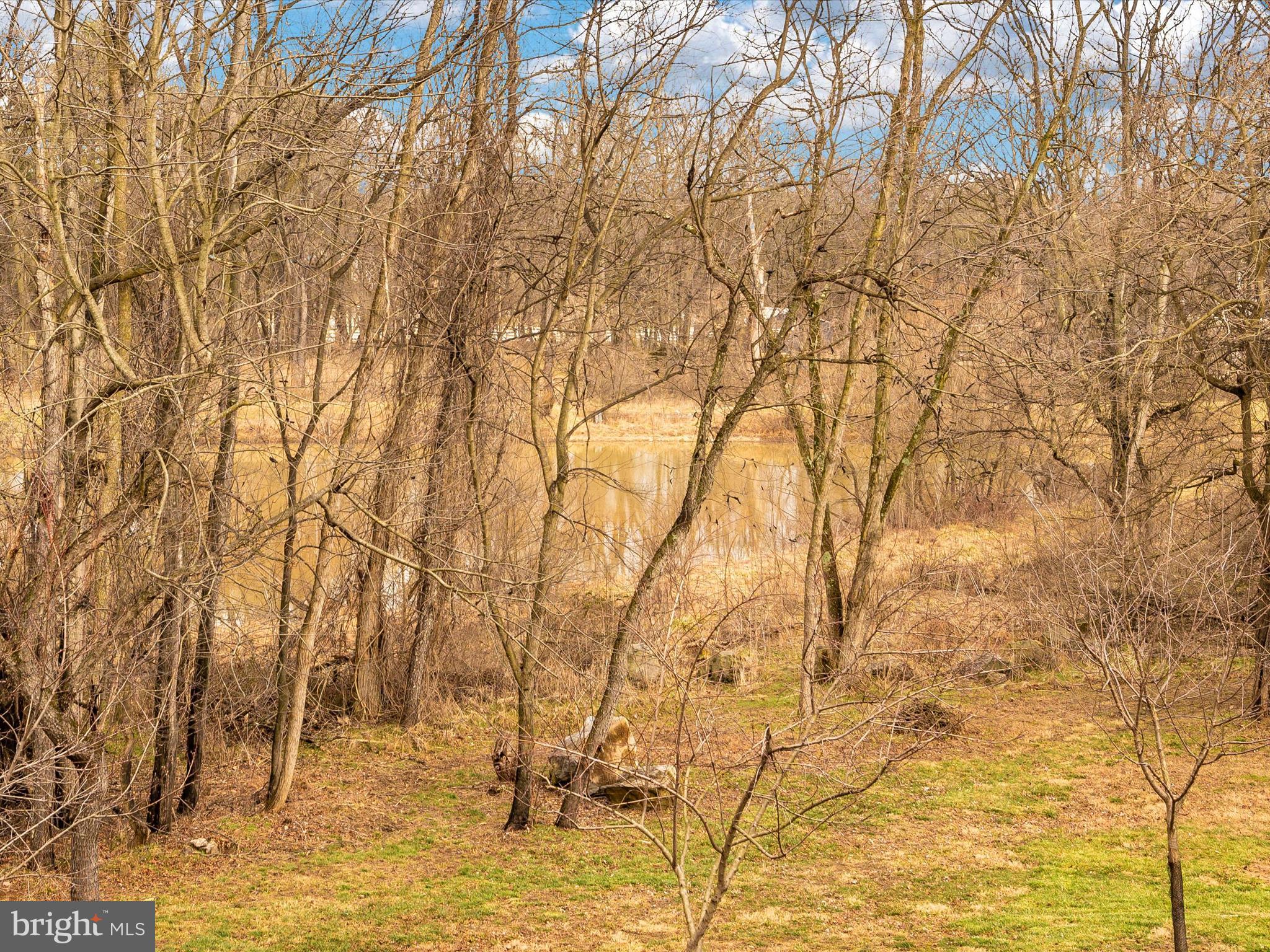 SHEPHERDSTOWNE ESTATES - Residential