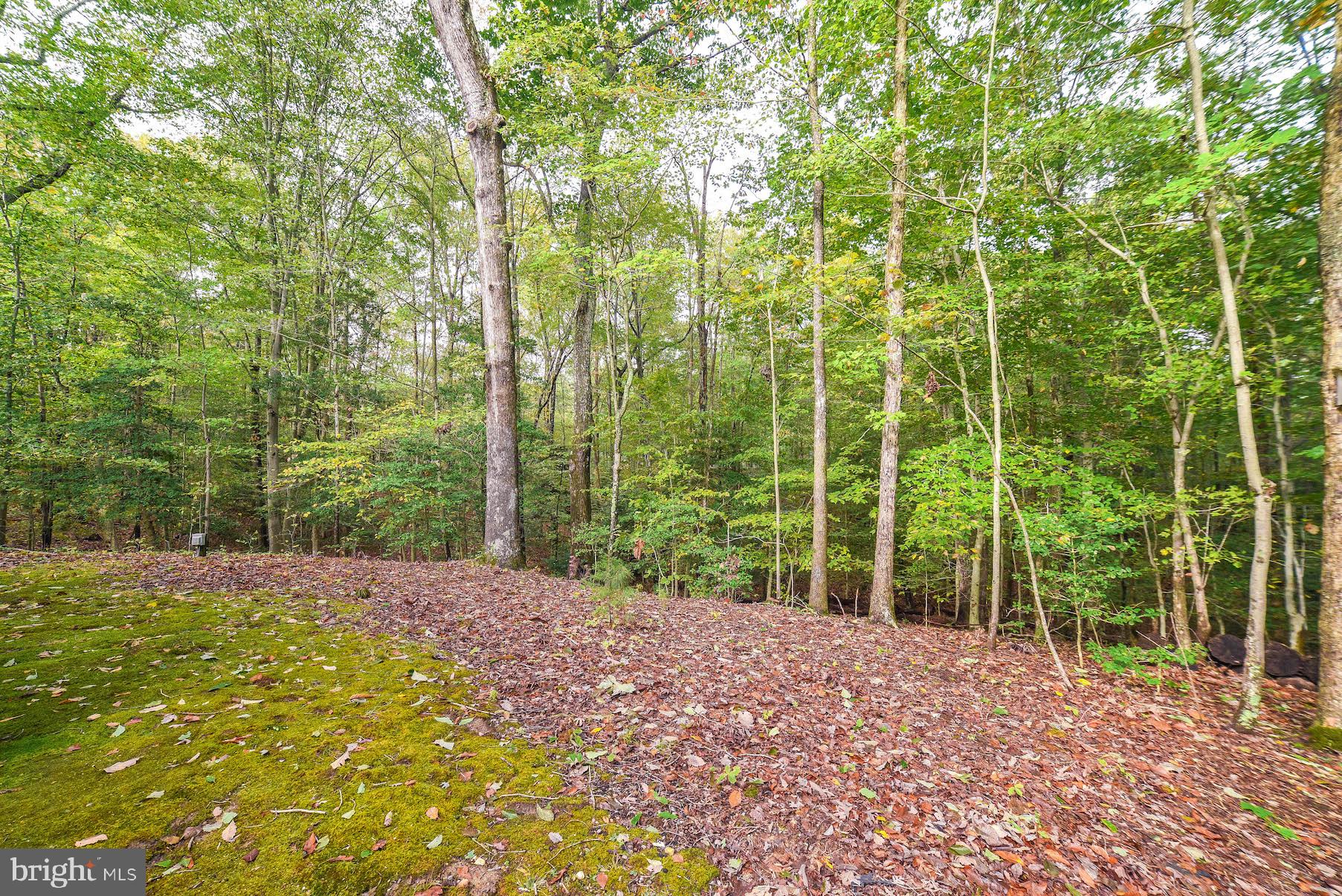 PAW PAW HOLLOW - Residential