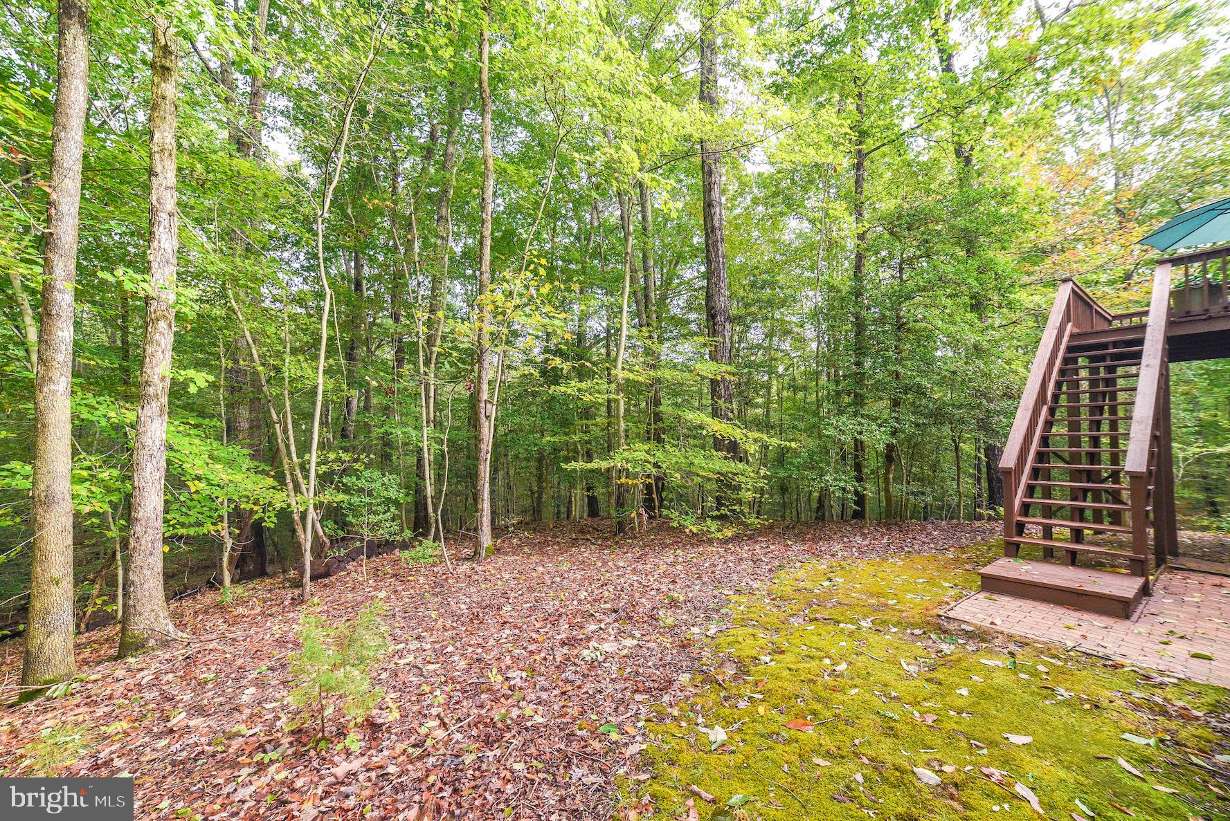 PAW PAW HOLLOW - Residential