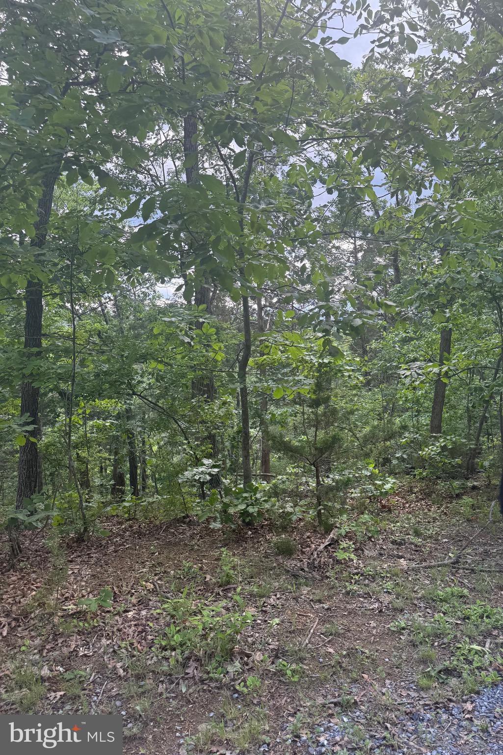 RIVER RIDGE ON THE SHENANDOAH - Land