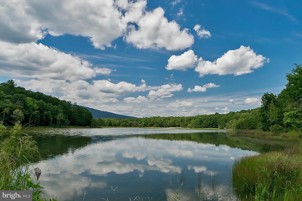LAKE FERNDALE - Residential