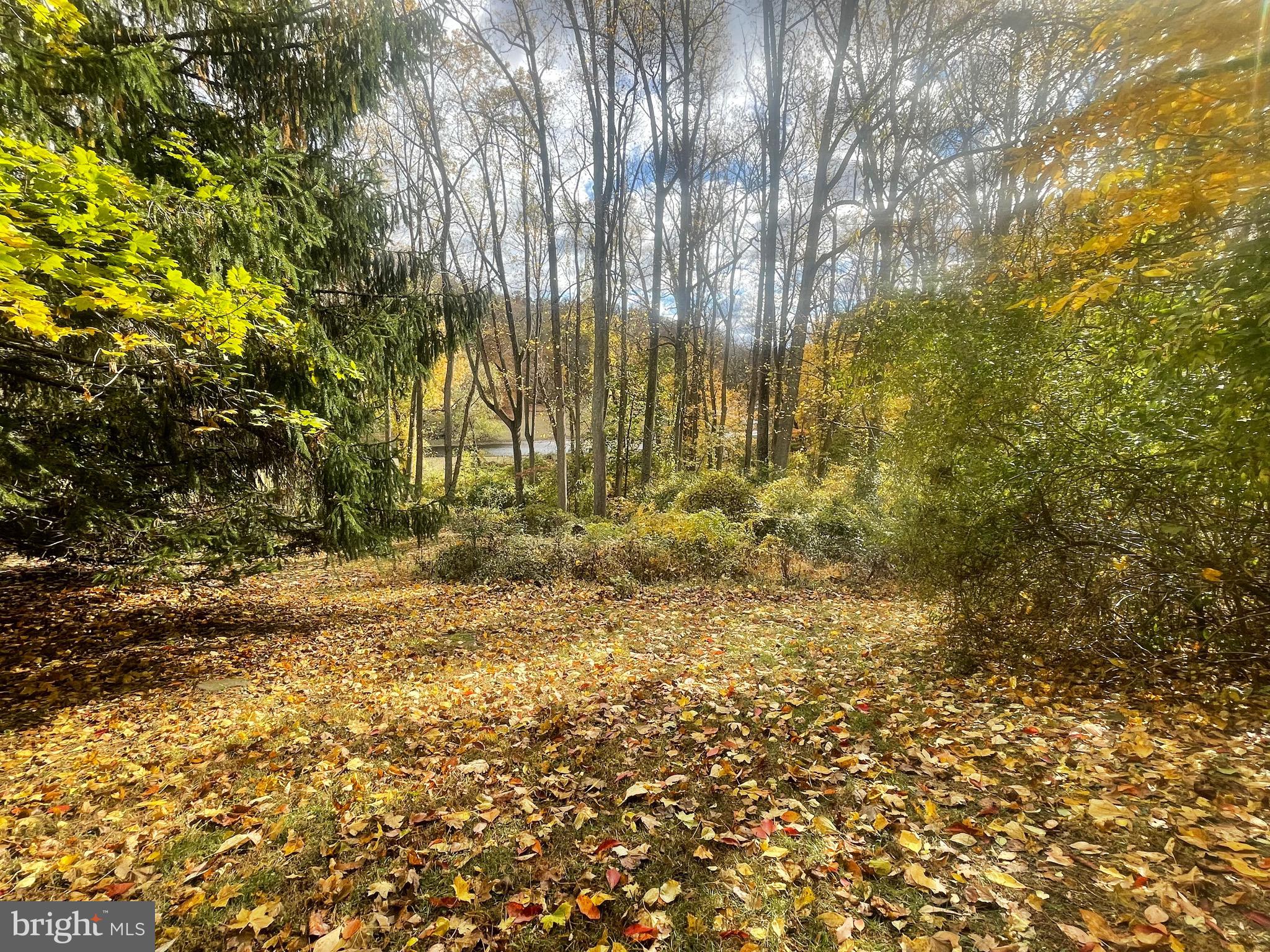 RUNNYMEADE FARMS - Land