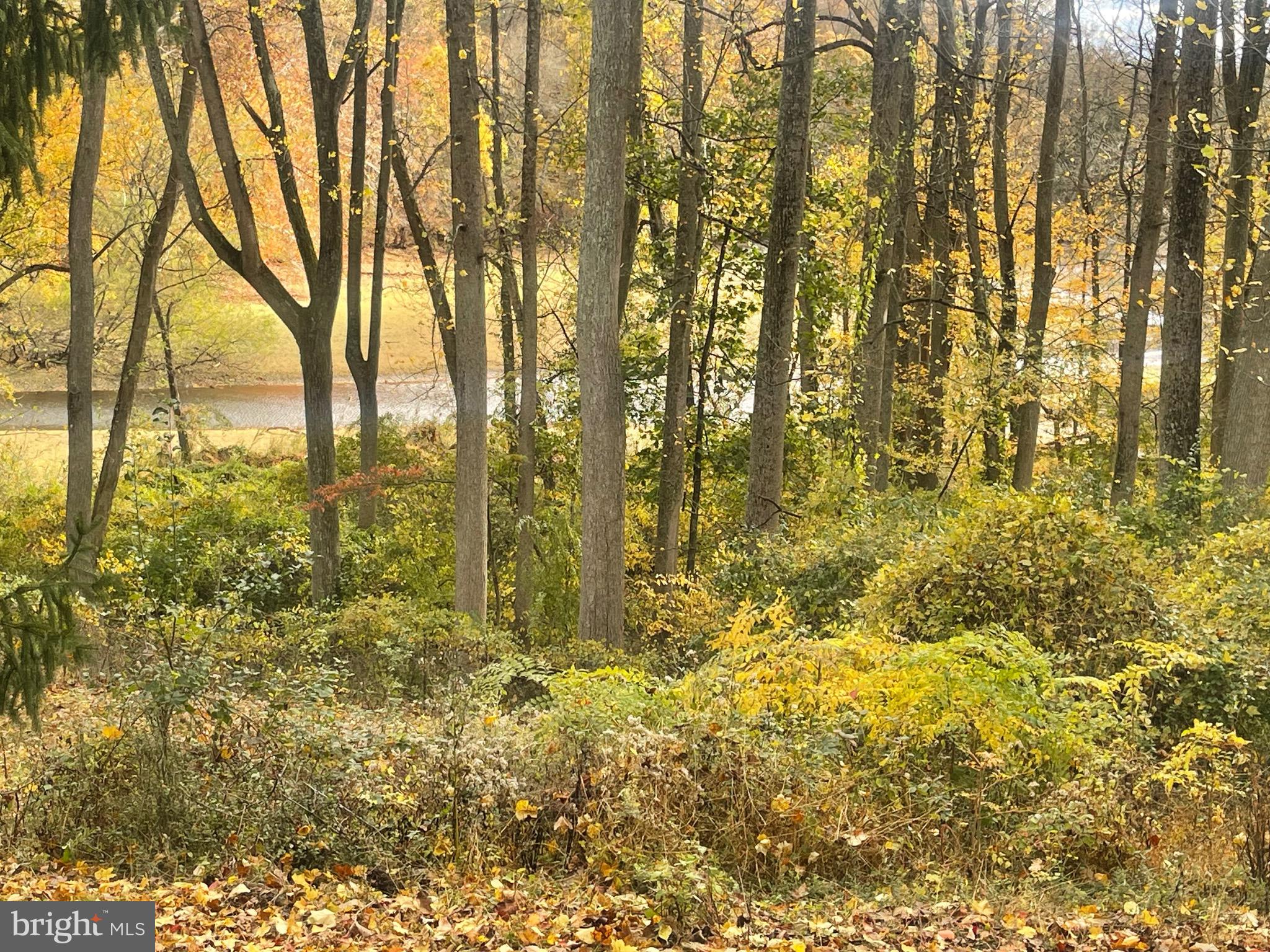 RUNNYMEADE FARMS - Land