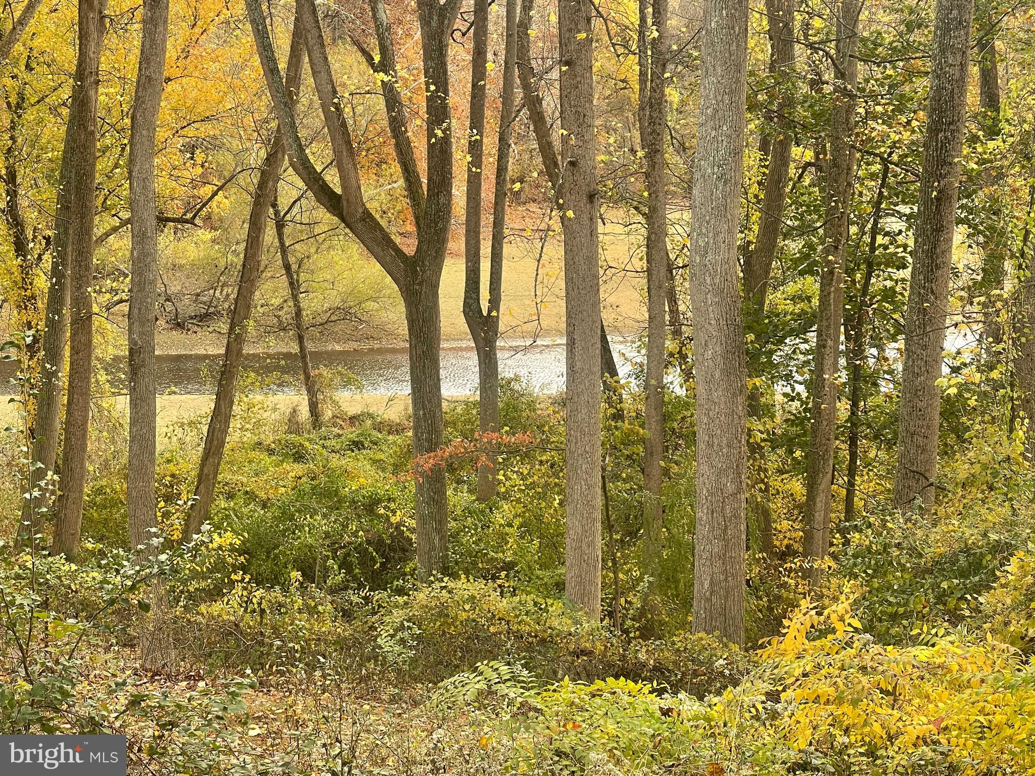 RUNNYMEADE FARMS - Land