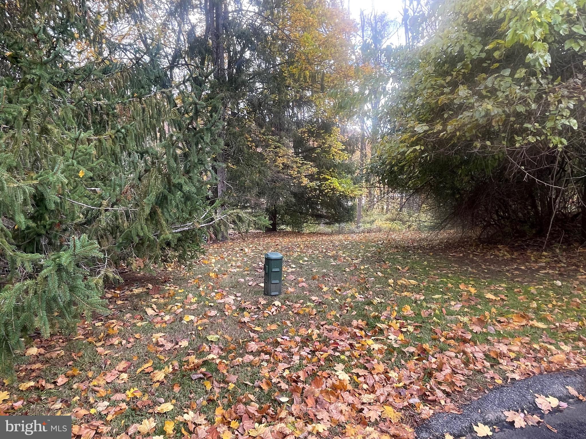 RUNNYMEADE FARMS - Land