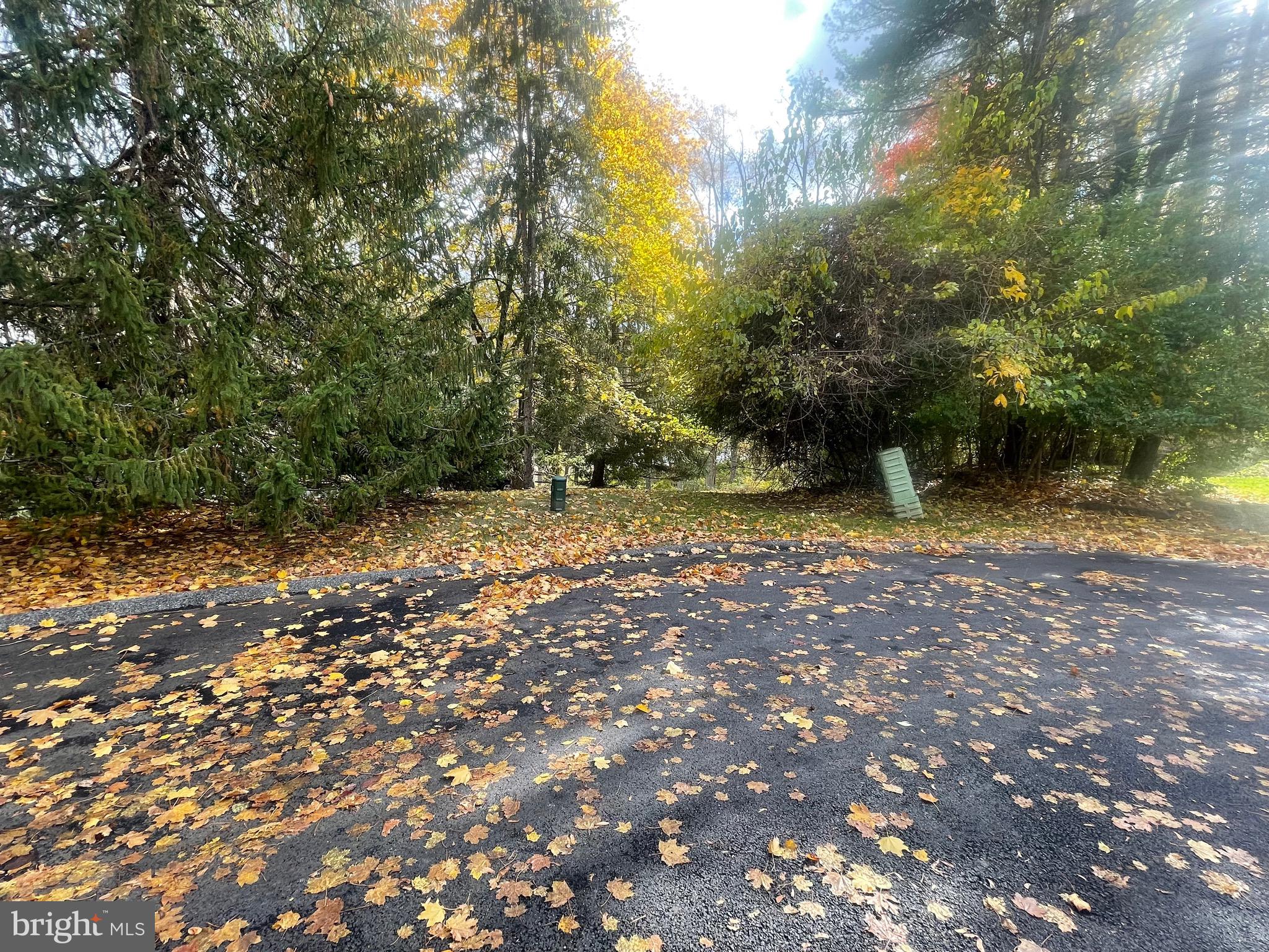 RUNNYMEADE FARMS - Land