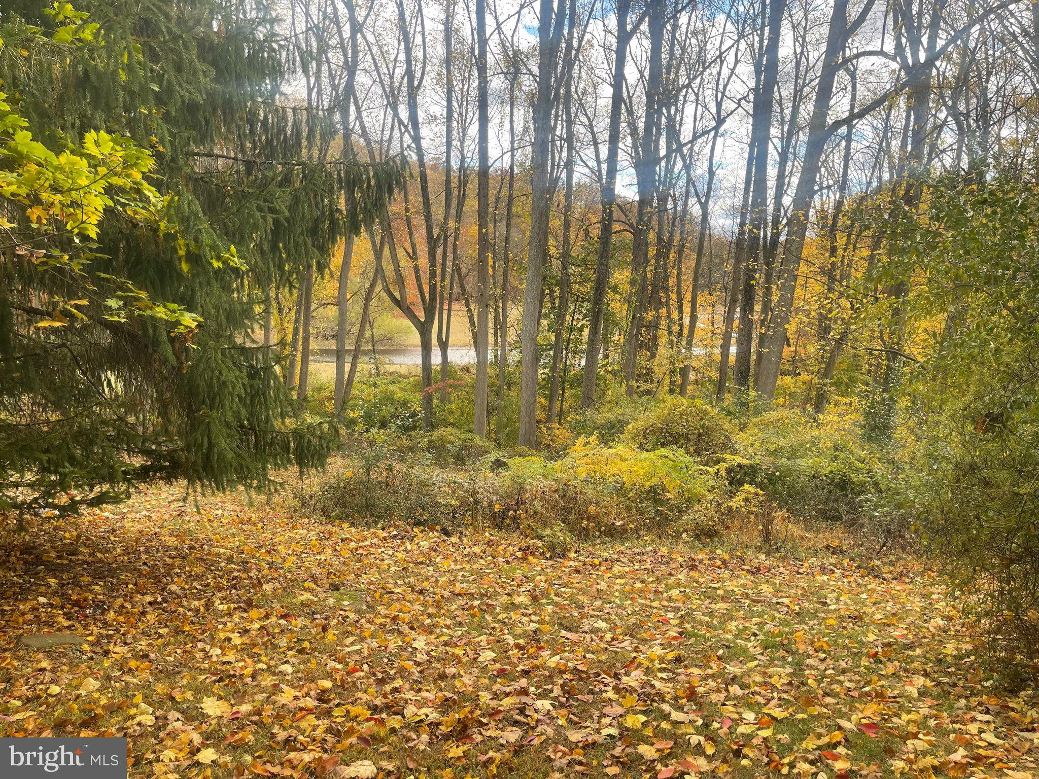 RUNNYMEADE FARMS - Land