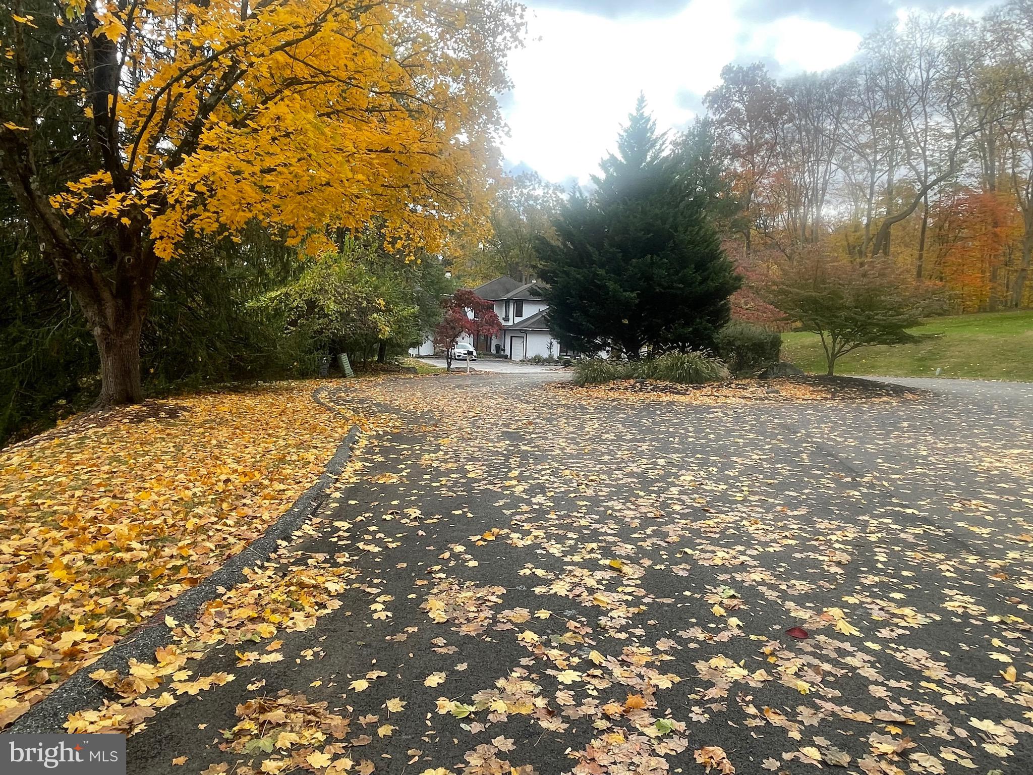 RUNNYMEADE FARMS - Land