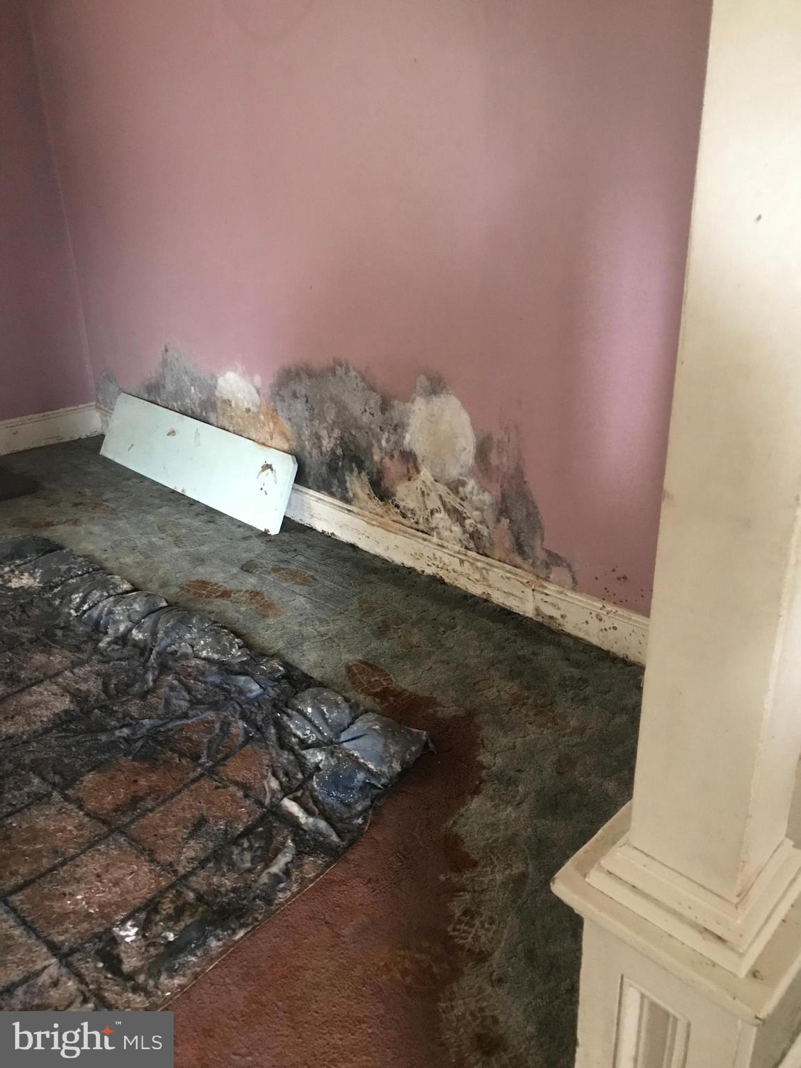 HAMILTON HEIGHTS - Residential