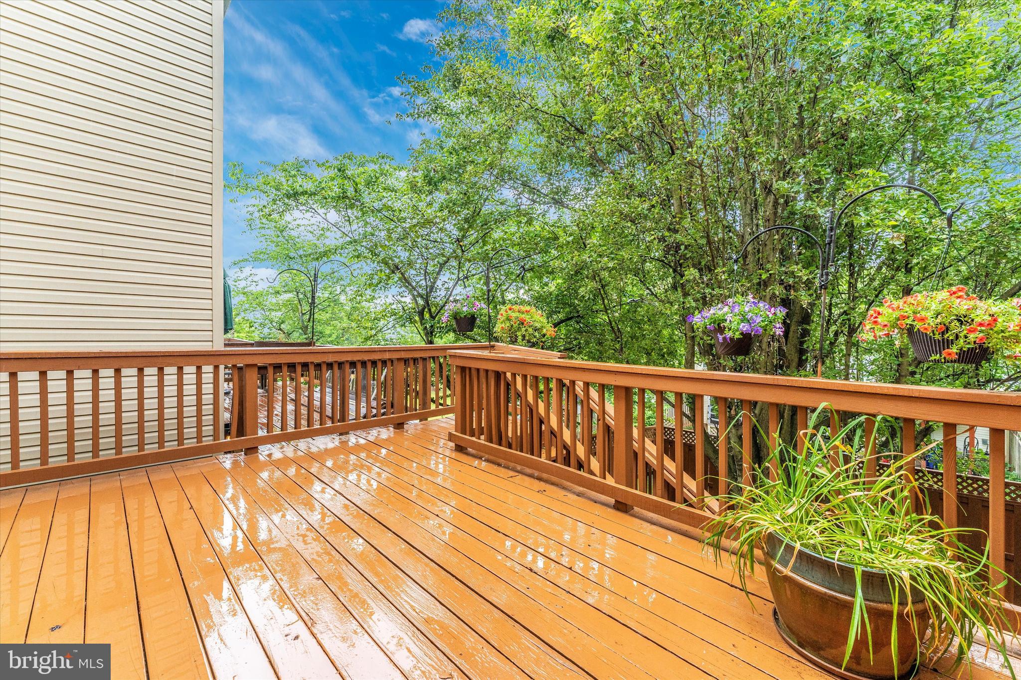 WHITTIER POND - Residential