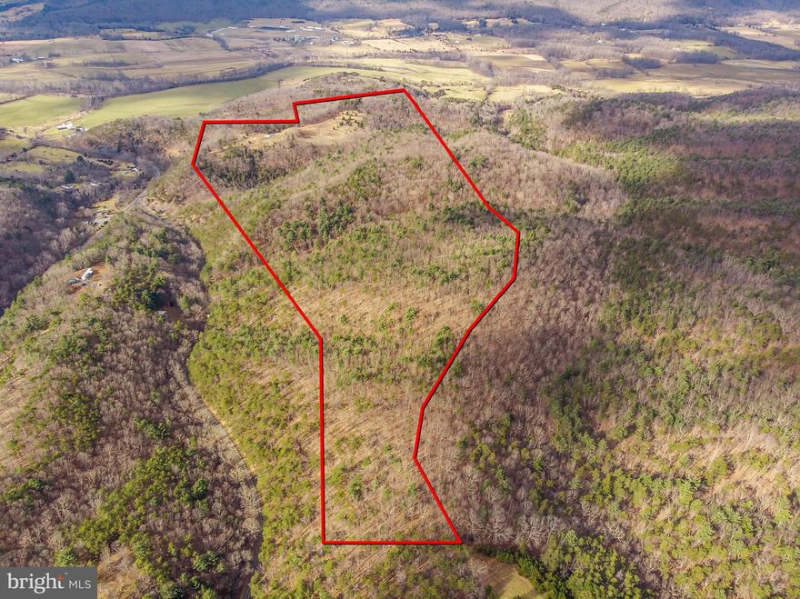 Perfect location for your own hunting spot!  Abundant wildlife, this parcel features a truck friendly road that stretches from the locked gate to the edge of the property, nearly a   mile long, makes using this property even easier to enjoy.   If you are looking for land to slip away to in your free time to hunt, enjoy some quiet time,or go camping with your family and friends, then this is the property for you.  Conveniently located just a short drive from the I-66 and I-81 interchange, and accessible off of Rt. 48 and Old Strasburg Road. Along the open pasture, there is electricity service, ready to hook up your RV or build the wilderness cabin you ve always wanted.  There are even inspiring westward views from the cliffs bordering the edge of the open pastures, giving you the time to overlook Hardy County s fields and rolling mountains. If you d like to share this property with others, there is the potential to subdivide it into seven (7) residential lots.  A preliminary plat is available and the property has already been surveyed with ground stakes installed. When you visit the property, you ll quickly see the property s potential. Located close to I-66 and I-81, and only within two hours from the Washington, DC area, this property gives the next owner the ability to have their very own recreational escape to reconnect with nature or their next development project.  The property does not have a designated street address but it is easily accessed off of Old Strasburg Road.Refer to the Tax Map #01254000800010000 to show the boundary lines.