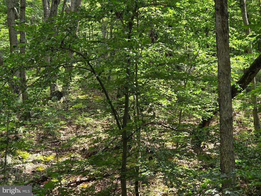This 5.01 acre parcel offers a peaceful setting while being just 5 minutes from the Town of Front Royal and Interstate 66.  Hillandale Rd offers frontage at two points on this parcel, offering the unique ability to select the frontage that best meets your desires for new home construction.