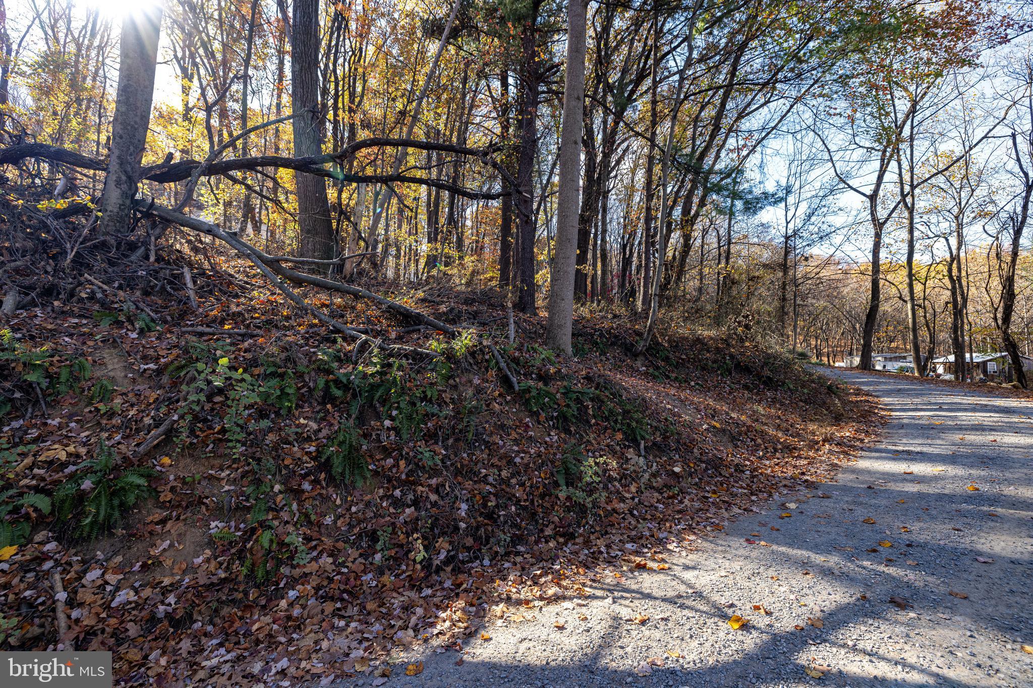 SHEN HIGHLANDS - Land