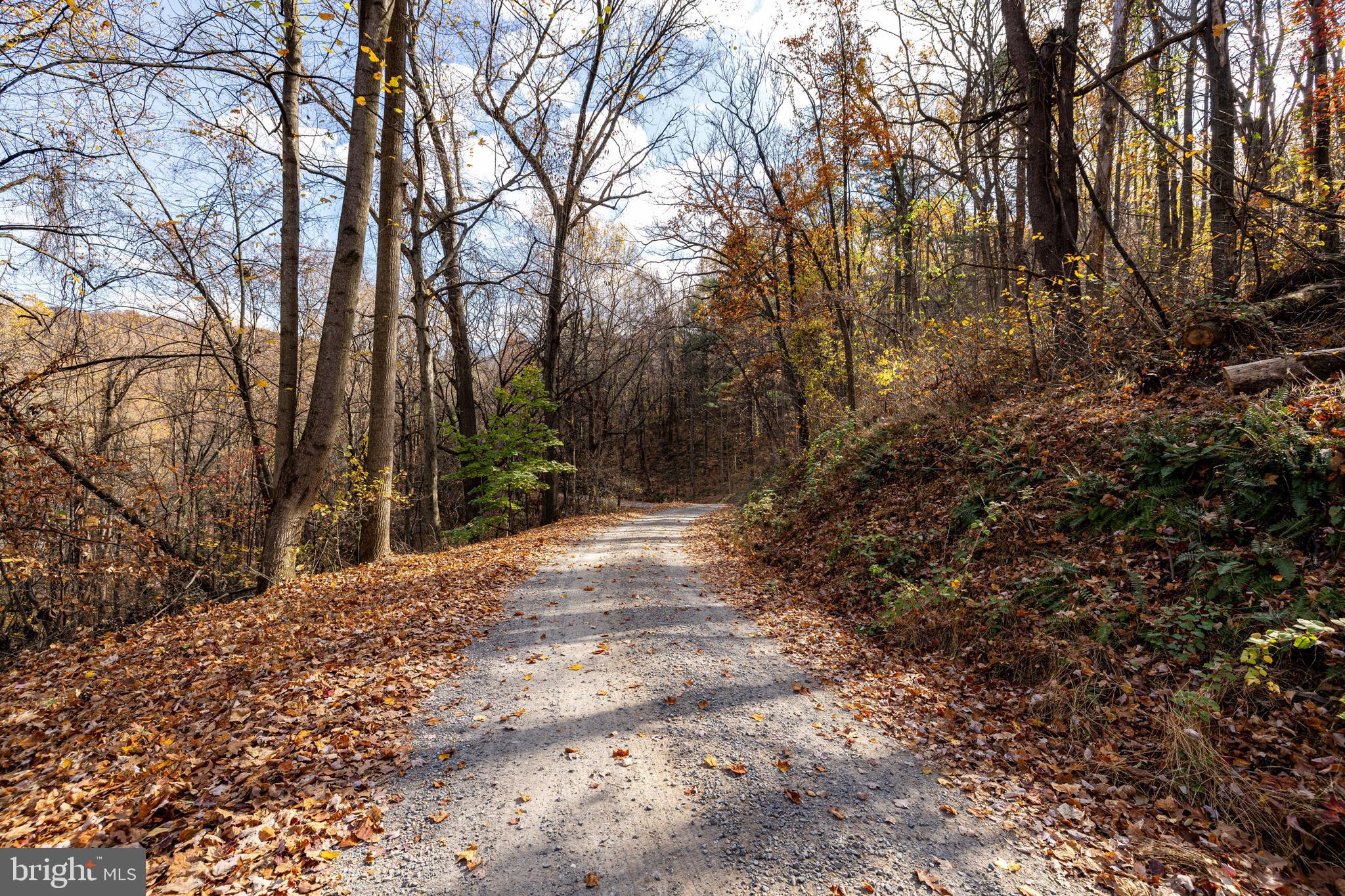 SHEN HIGHLANDS - Land