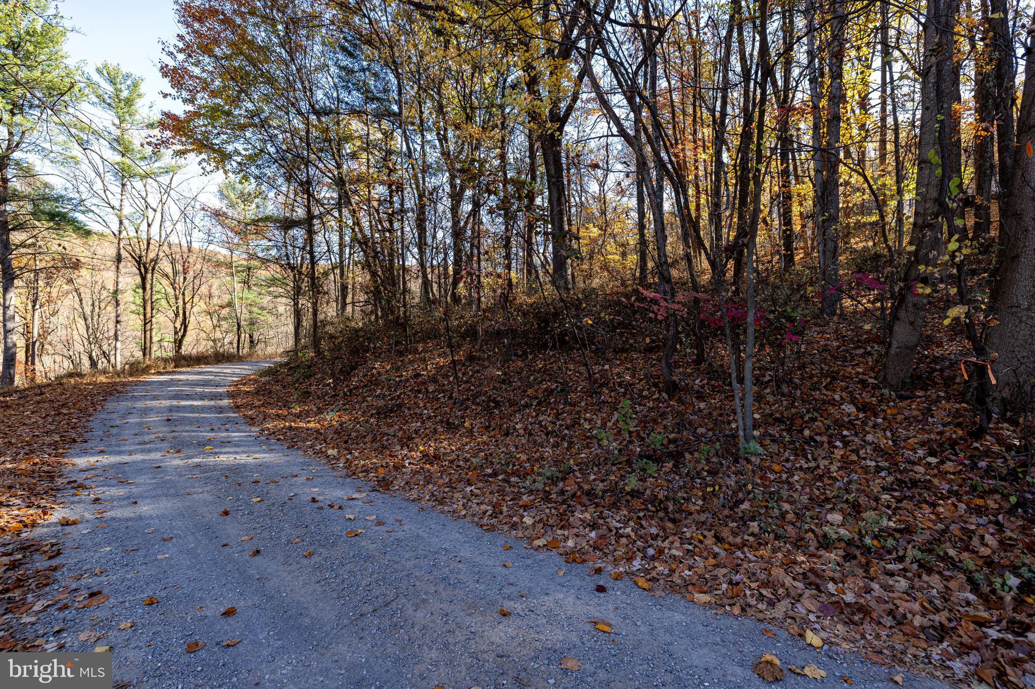 SHEN HIGHLANDS - Land