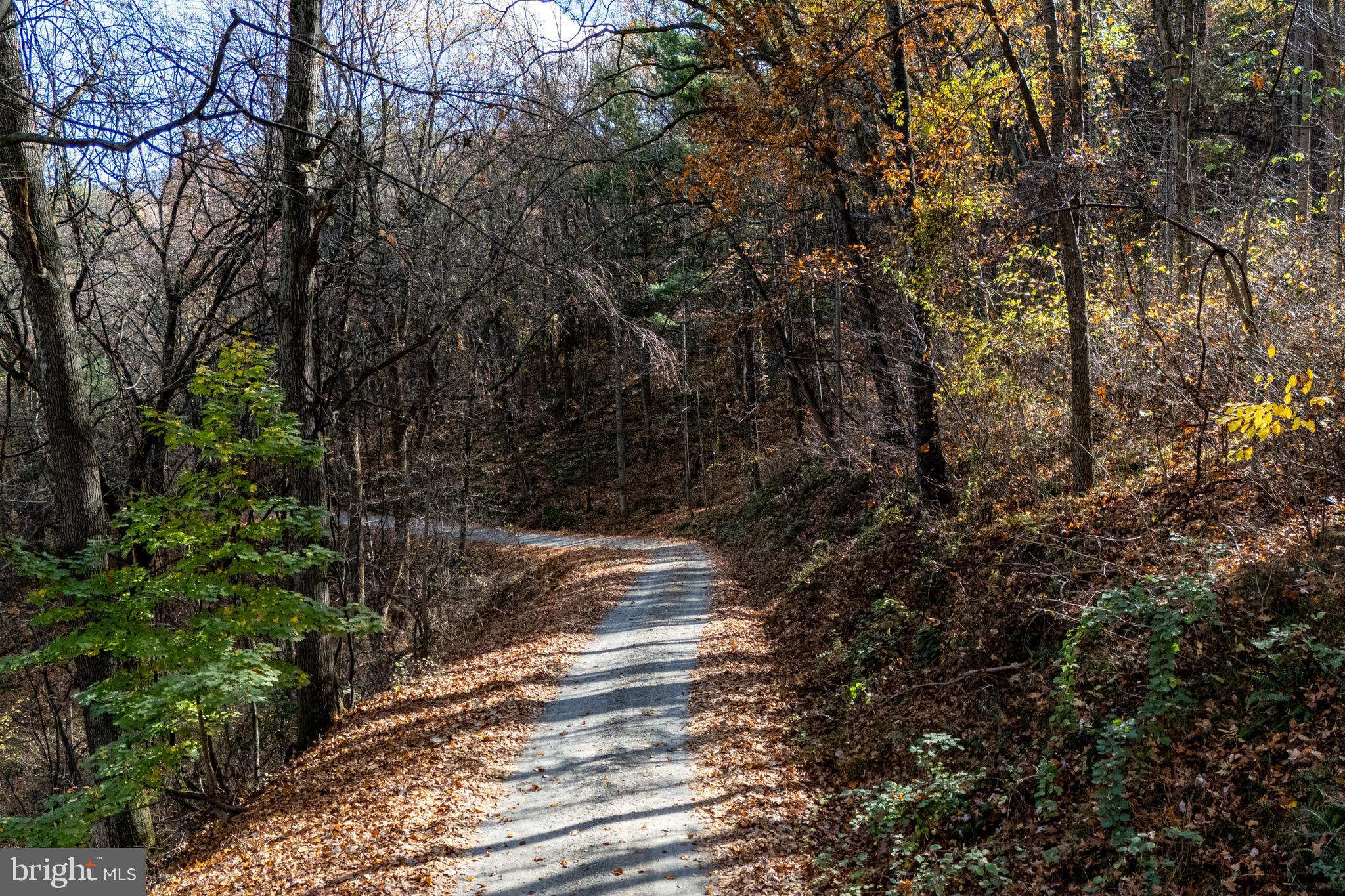 SHEN HIGHLANDS - Land