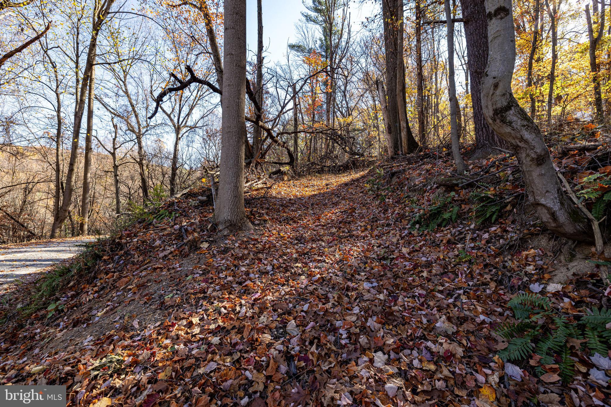 SHEN HIGHLANDS - Land